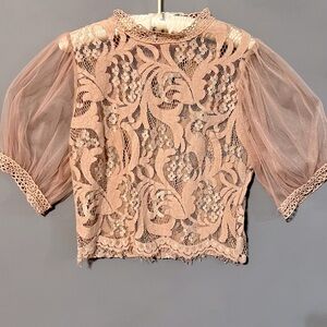 Delicate Lace Blouse in Soft Pink Eyelash Trim Puff Sheer Sleeves Cropped Medium